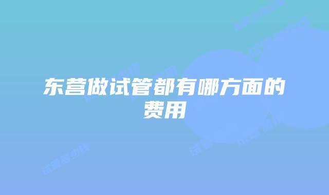 东营做试管都有哪方面的费用