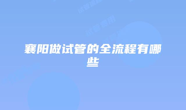 襄阳做试管的全流程有哪些