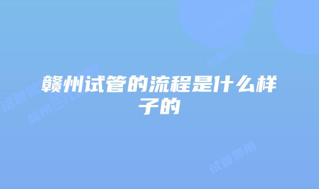 赣州试管的流程是什么样子的
