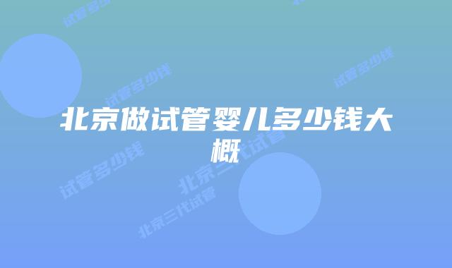 北京做试管婴儿多少钱大概
