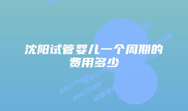 沈阳试管婴儿一个周期的费用多少