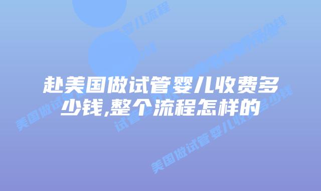 赴美国做试管婴儿收费多少钱,整个流程怎样的