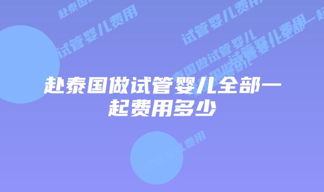 赴泰国做试管婴儿全部一起费用多少