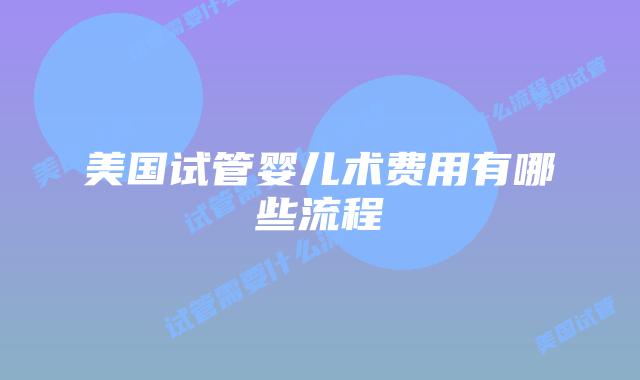 美国试管婴儿术费用有哪些流程