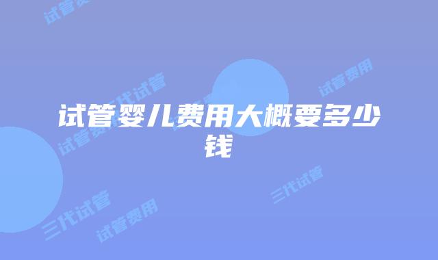 试管婴儿费用大概要多少钱