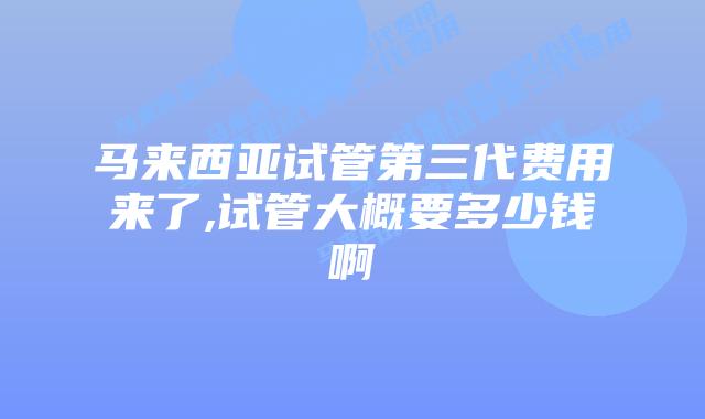 马来西亚试管第三代费用来了,试管大概要多少钱啊