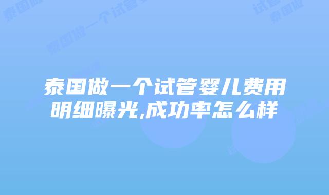 泰国做一个试管婴儿费用明细曝光,成功率怎么样