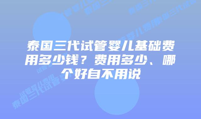 泰国三代试管婴儿基础费用多少钱？费用多少、哪个好自不用说