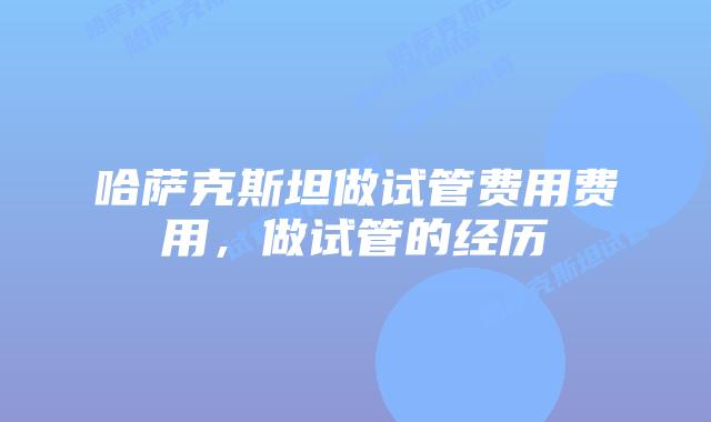 哈萨克斯坦做试管费用费用，做试管的经历
