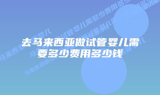 去马来西亚做试管婴儿需要多少费用多少钱
