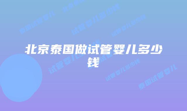 北京泰国做试管婴儿多少钱