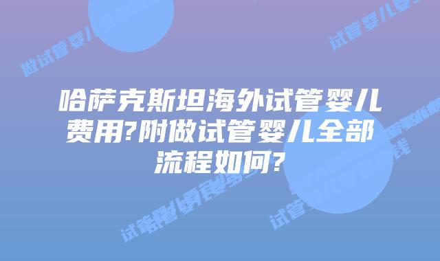 哈萨克斯坦海外试管婴儿费用?附做试管婴儿全部流程如何?