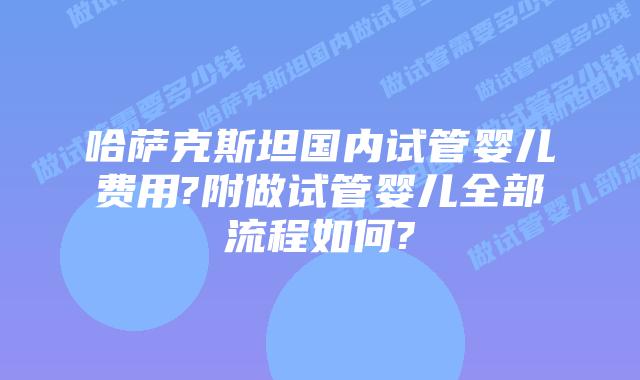 哈萨克斯坦国内试管婴儿费用?附做试管婴儿全部流程如何?