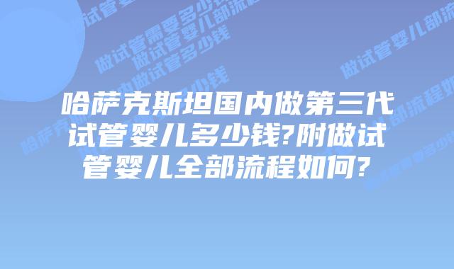 哈萨克斯坦国内做第三代试管婴儿多少钱?附做试管婴儿全部流程如何?