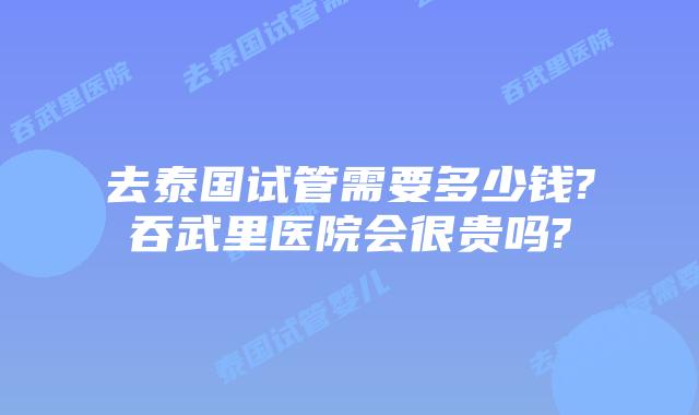去泰国试管需要多少钱?吞武里医院会很贵吗?