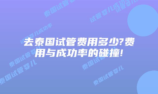 去泰国试管费用多少?费用与成功率的碰撞!