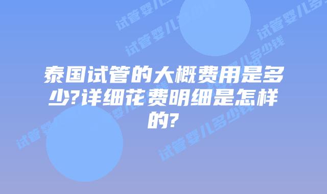 泰国试管的大概费用是多少?详细花费明细是怎样的?