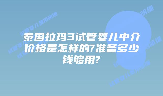 泰国拉玛3试管婴儿中介价格是怎样的?准备多少钱够用?