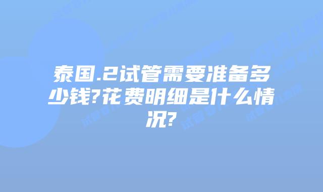 泰国.2试管需要准备多少钱?花费明细是什么情况?