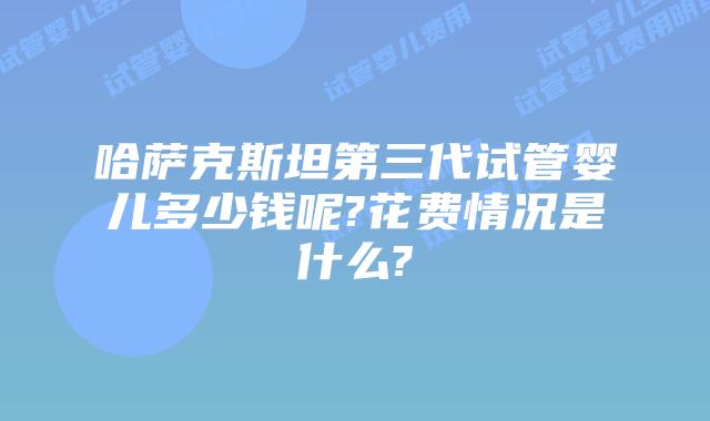 哈萨克斯坦第三代试管婴儿多少钱呢?花费情况是什么?