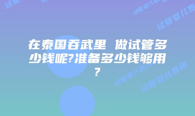 在泰国吞武里 做试管多少钱呢?准备多少钱够用?