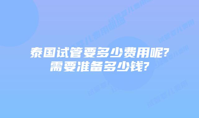 泰国试管要多少费用呢?需要准备多少钱?