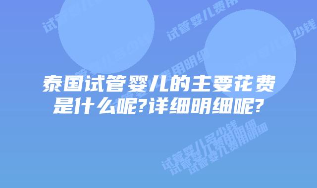 泰国试管婴儿的主要花费是什么呢?详细明细呢?