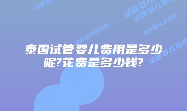 泰国试管婴儿费用是多少呢?花费是多少钱?