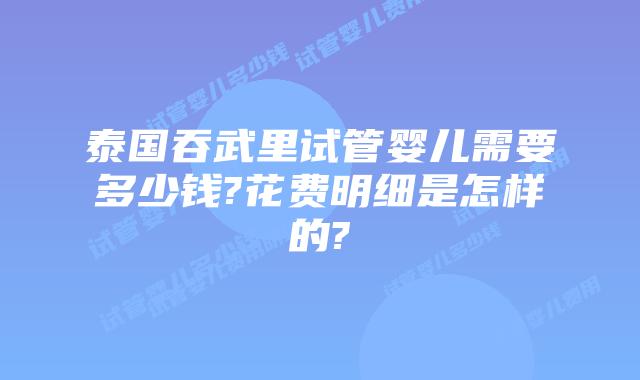 泰国吞武里试管婴儿需要多少钱?花费明细是怎样的?