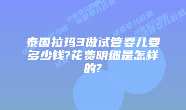 泰国拉玛3做试管婴儿要多少钱?花费明细是怎样的?