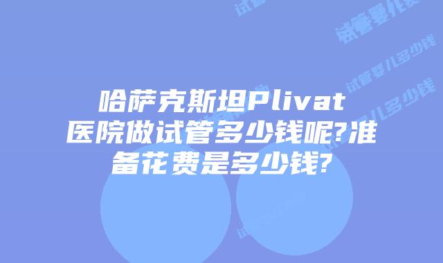 哈萨克斯坦Plivat医院做试管多少钱呢?准备花费是多少钱?