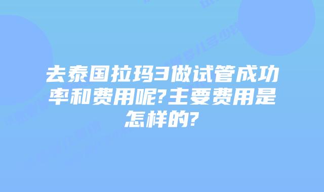 去泰国拉玛3做试管成功率和费用呢?主要费用是怎样的?