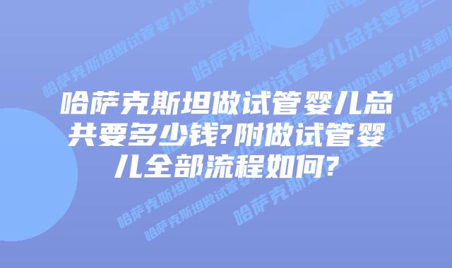 哈萨克斯坦做试管婴儿总共要多少钱?附做试管婴儿全部流程如何?