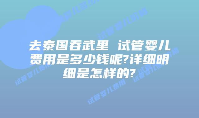 去泰国吞武里 试管婴儿费用是多少钱呢?详细明细是怎样的?