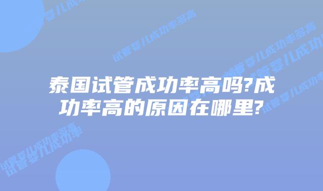 泰国试管成功率高吗?成功率高的原因在哪里?