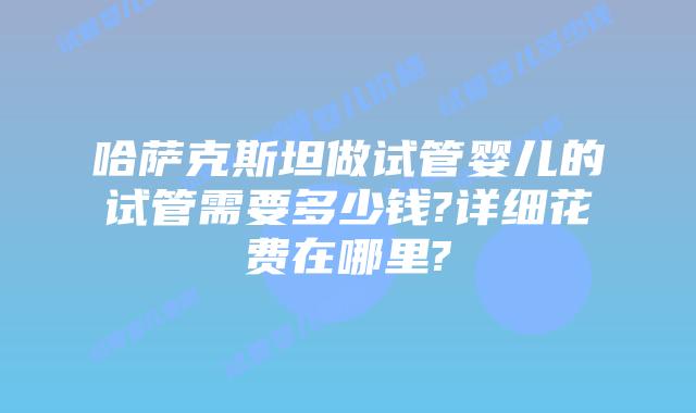 哈萨克斯坦做试管婴儿的试管需要多少钱?详细花费在哪里?