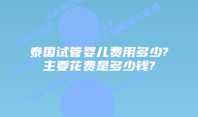 泰国试管婴儿费用多少?主要花费是多少钱?