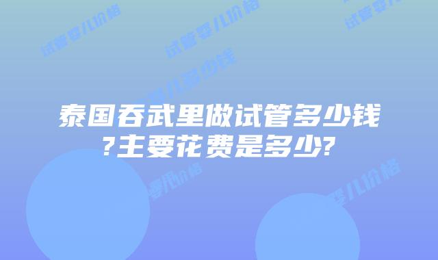 泰国吞武里做试管多少钱?主要花费是多少?