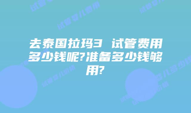 去泰国拉玛3 试管费用多少钱呢?准备多少钱够用?