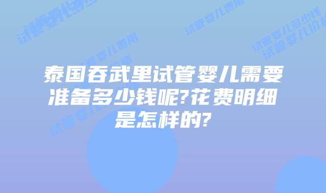 泰国吞武里试管婴儿需要准备多少钱呢?花费明细是怎样的?