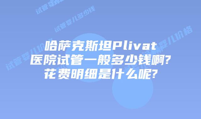 哈萨克斯坦Plivat医院试管一般多少钱啊?花费明细是什么呢?