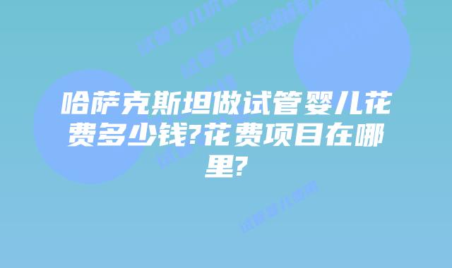哈萨克斯坦做试管婴儿花费多少钱?花费项目在哪里?