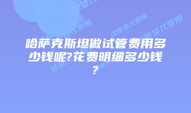 哈萨克斯坦做试管费用多少钱呢?花费明细多少钱?