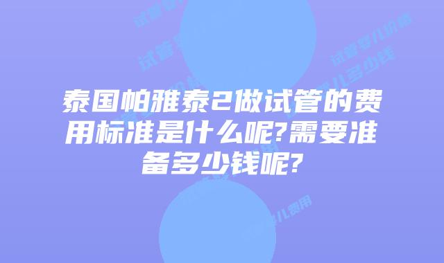 泰国帕雅泰2做试管的费用标准是什么呢?需要准备多少钱呢?