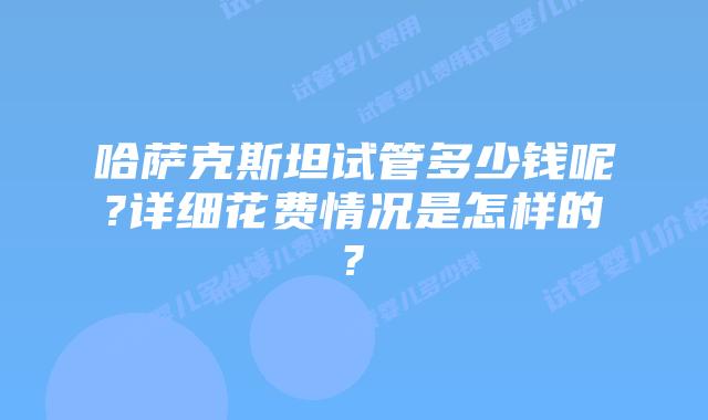 哈萨克斯坦试管多少钱呢?详细花费情况是怎样的?