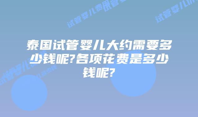 泰国试管婴儿大约需要多少钱呢?各项花费是多少钱呢?