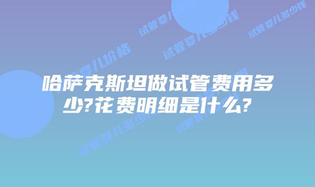 哈萨克斯坦做试管费用多少?花费明细是什么?