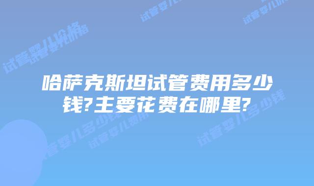 哈萨克斯坦试管费用多少钱?主要花费在哪里?