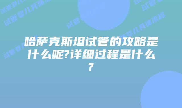 哈萨克斯坦试管的攻略是什么呢?详细过程是什么?