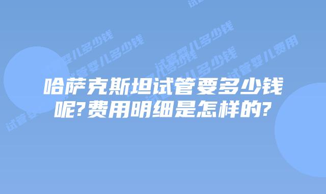 哈萨克斯坦试管要多少钱呢?费用明细是怎样的?